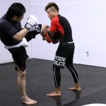 MMA(総合格闘技)